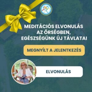 MEDITÁCIÓS ELVONULÁS AZ ŐRSÉGBEN Flow!Summit26