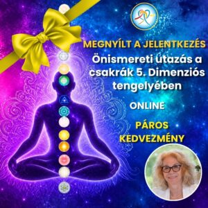 Önismereti út a csakrák 5. Dimenziós tengelyében Flow!Summit26 páros